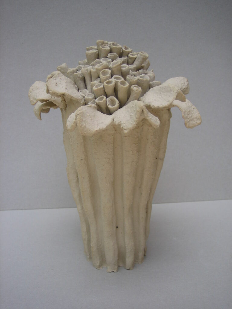 2006 'Cotula turbinata', stoneware, h24cm