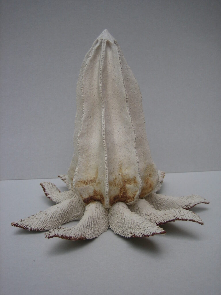 2006 'Mindium campanuloides', stoneware, h25cm