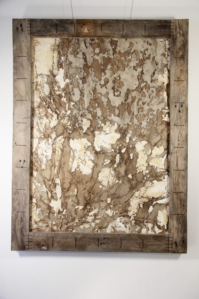 2013 'Coöperation with the white ants', paper, wood, h110xw70cm