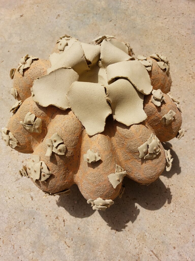 2014-Seed pod, 2014, stoneware, h21 x w32 x d32 cm